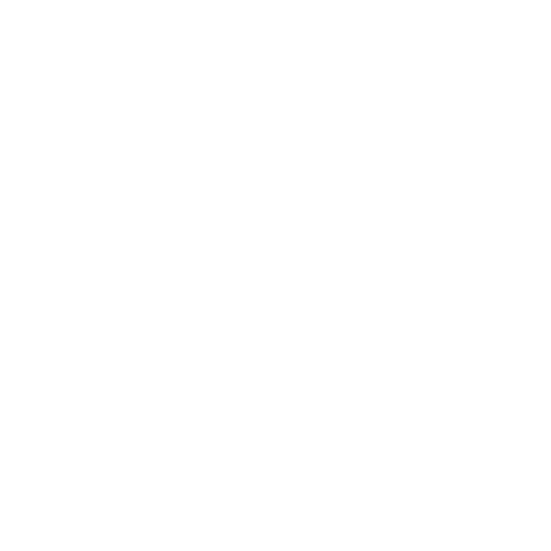 CS Digital Solutions Logo
