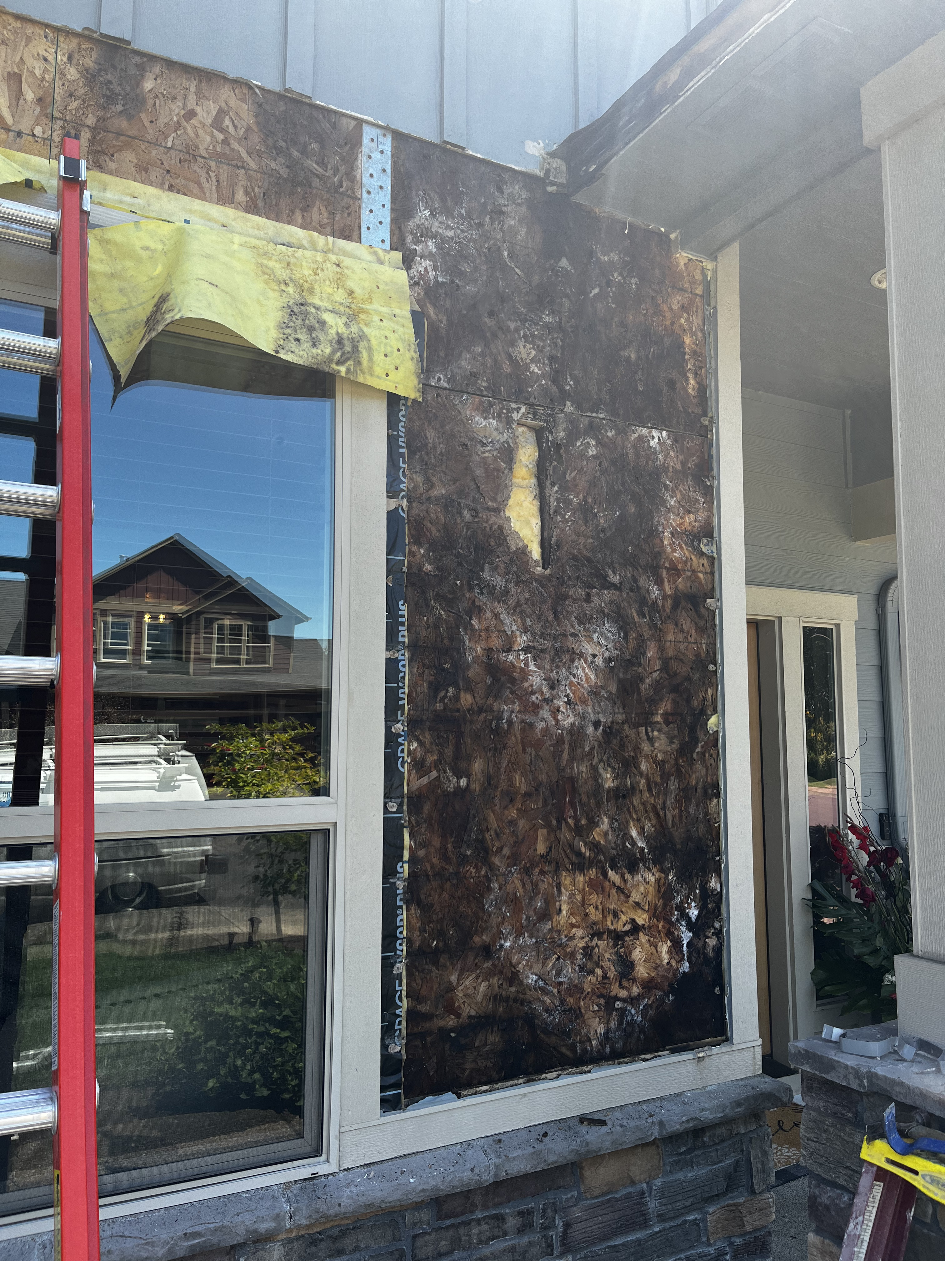 Rot from water damage