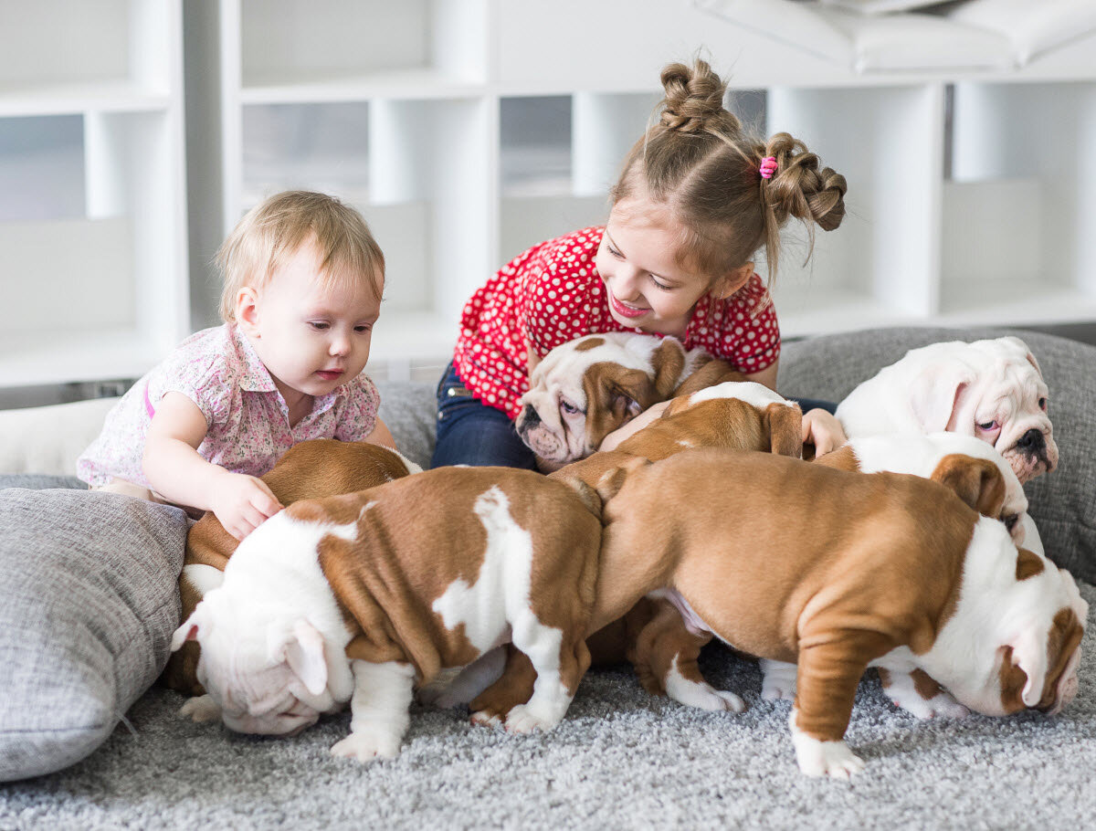 Kids and puppies playing on a freshly cleaned carpet