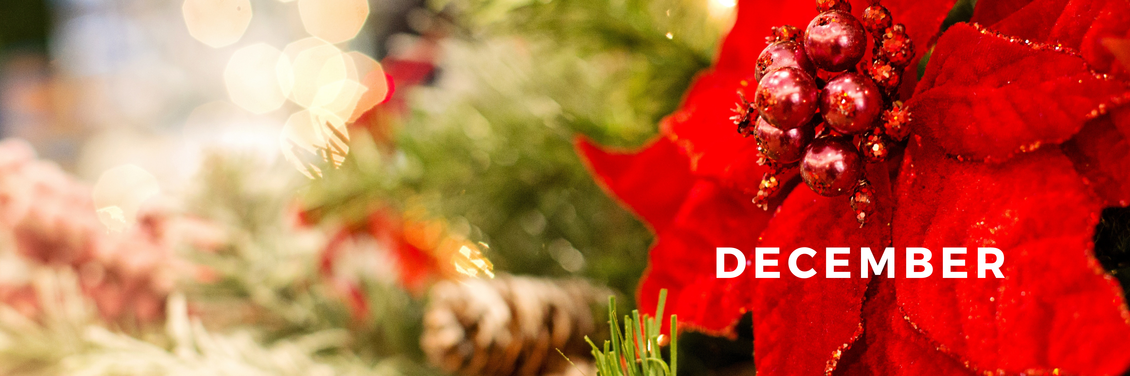 December Spiritual Classes in South Denver