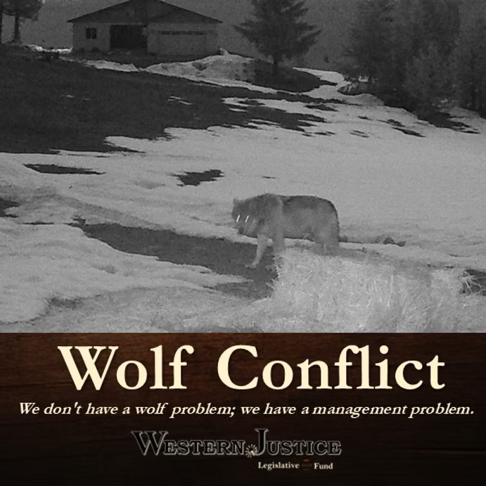 Failed Illusions: Non-Lethal Wolf Management & “Reimbursement” Failed Illusions: Non-Lethal Wolf Management & “Reimbursement”
