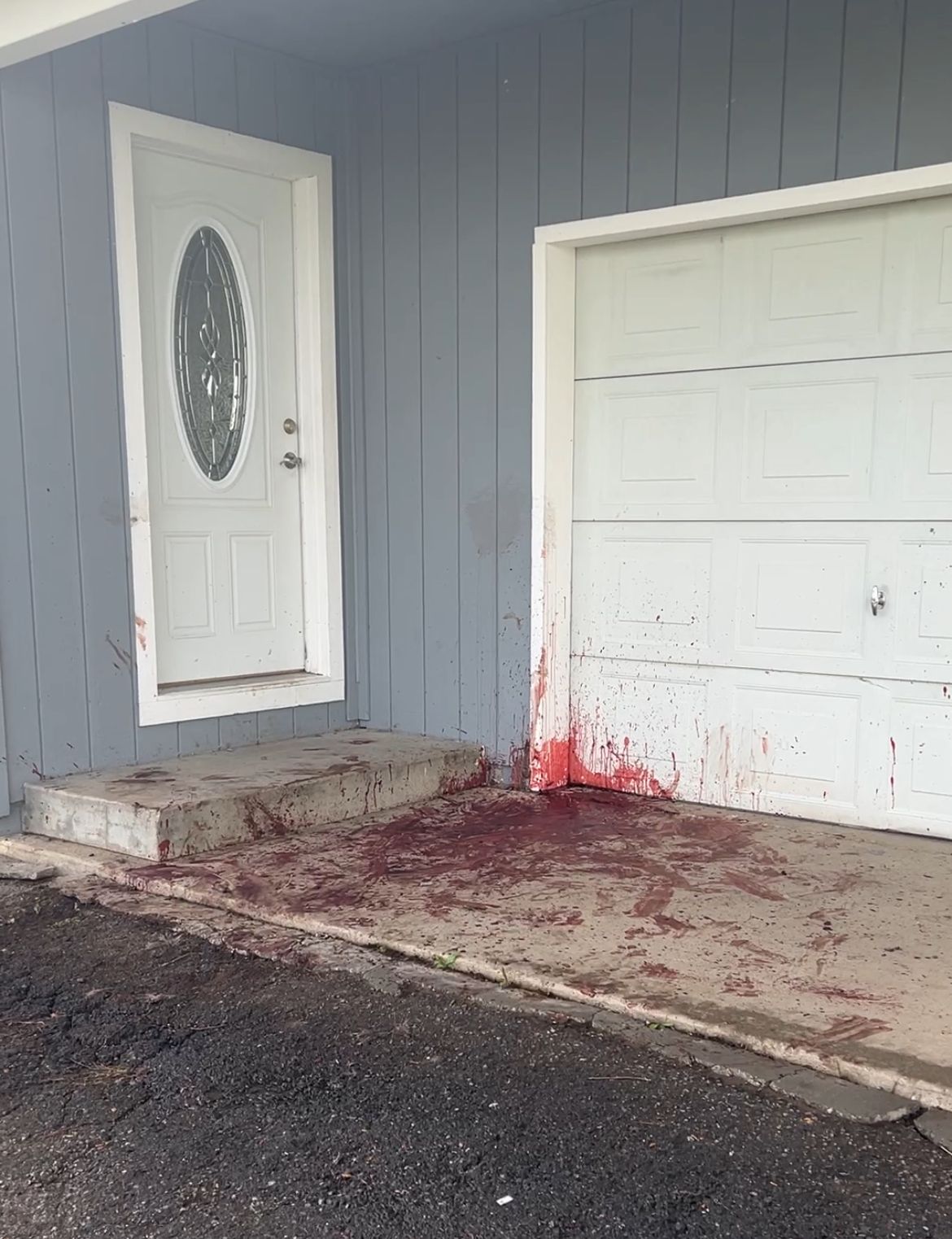 bloody evidence of wolf kill on Sierra County residence doorstep