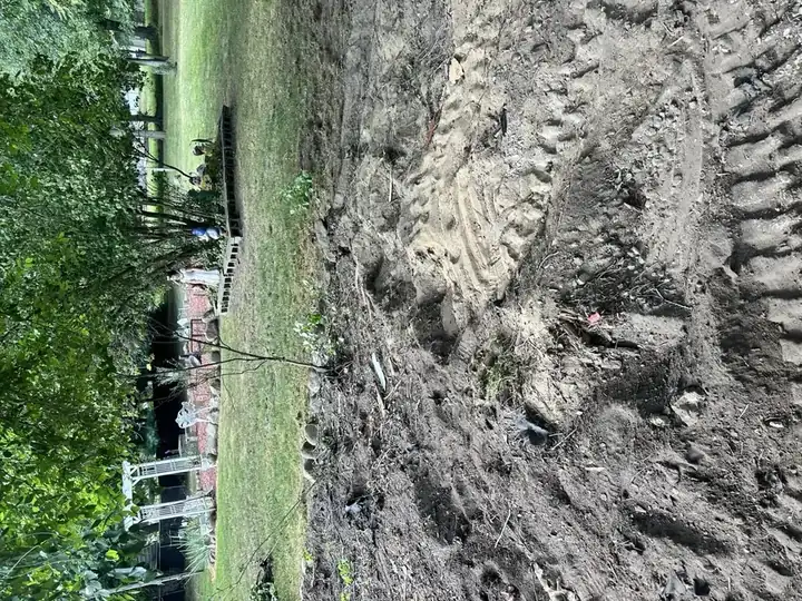 Shed Demolition & Site Clearing