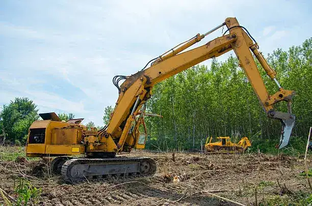 Land Clearing