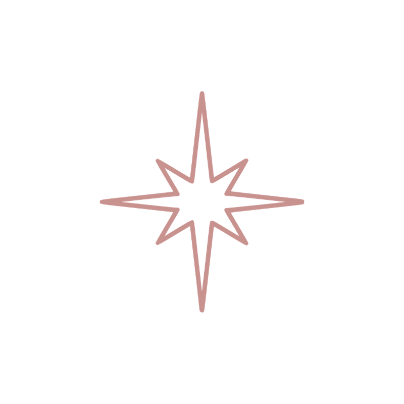 Spark icon