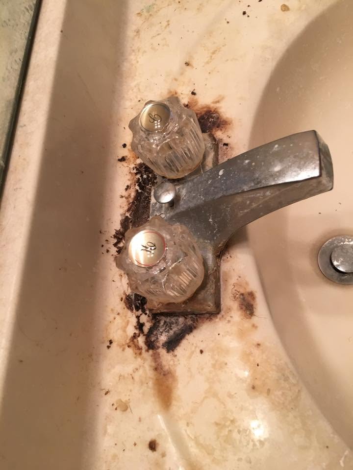 After cleaning Project 5
