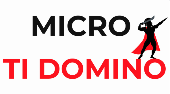 Micro ti domino