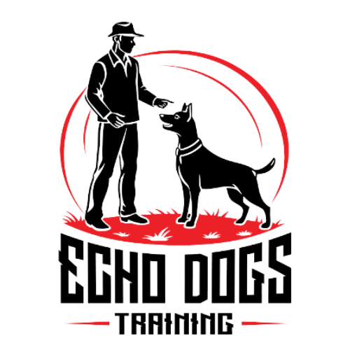 Echo Dogs Training Blog