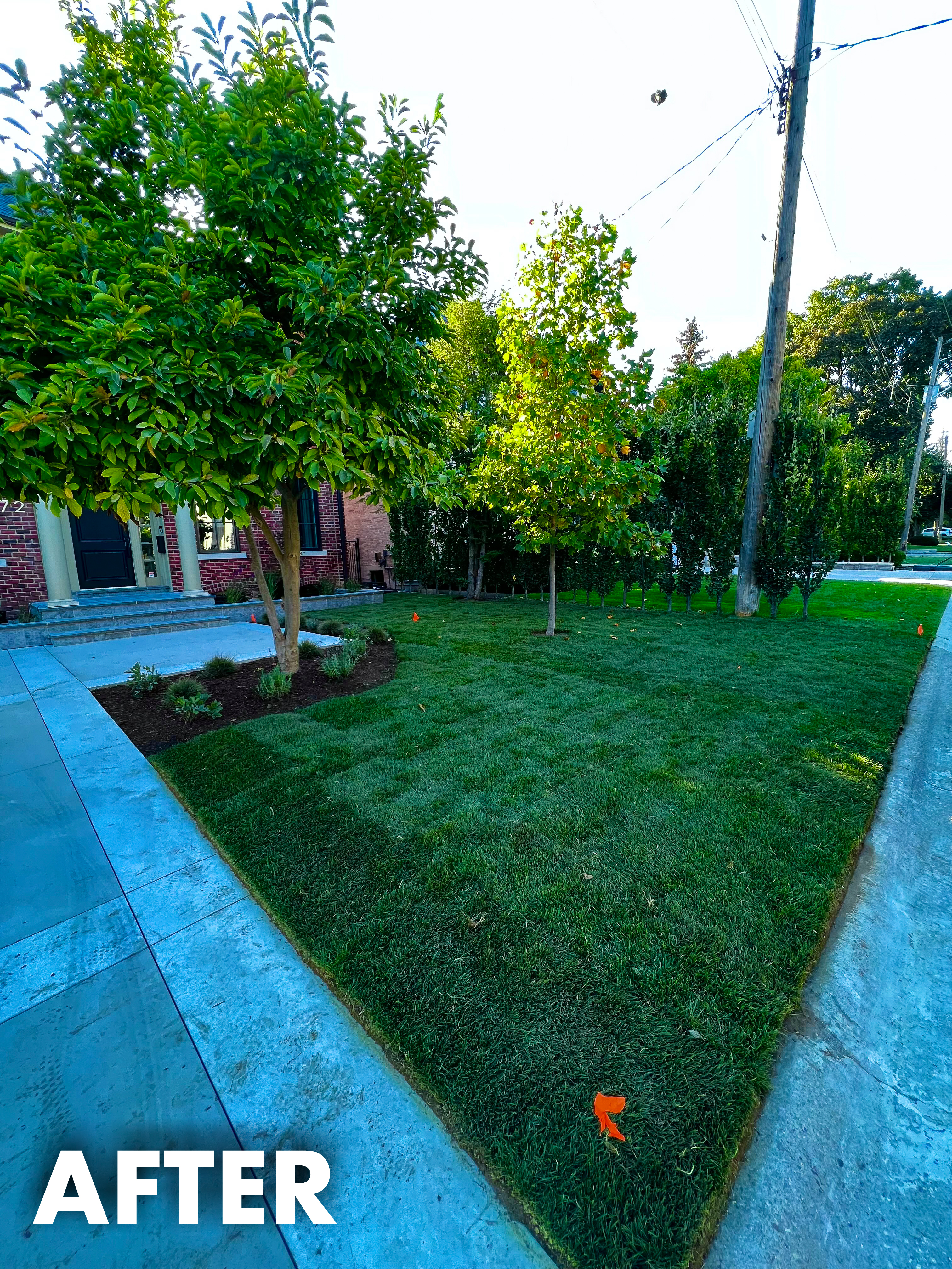 <h3>1000 Sqft or more</h3>