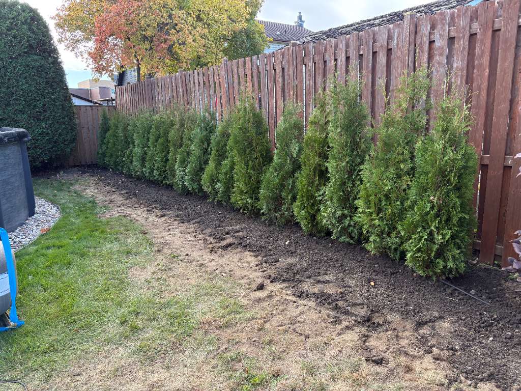 Landscaping