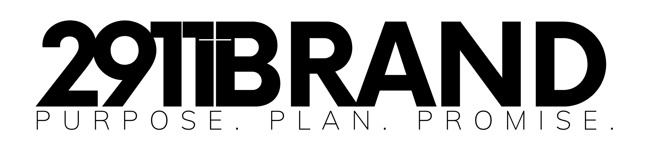 2911BRAND