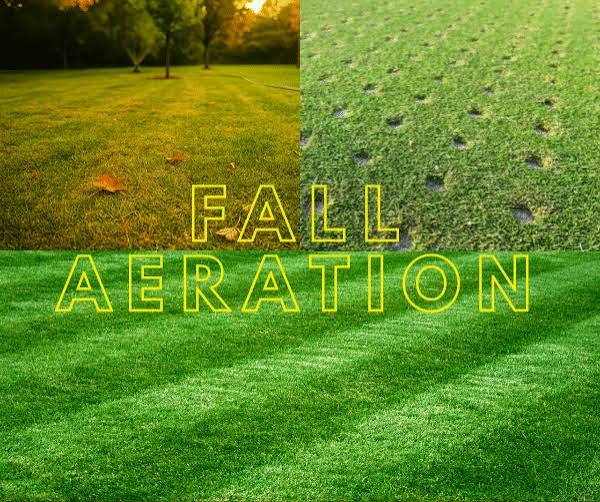 Fall lawn aeration service