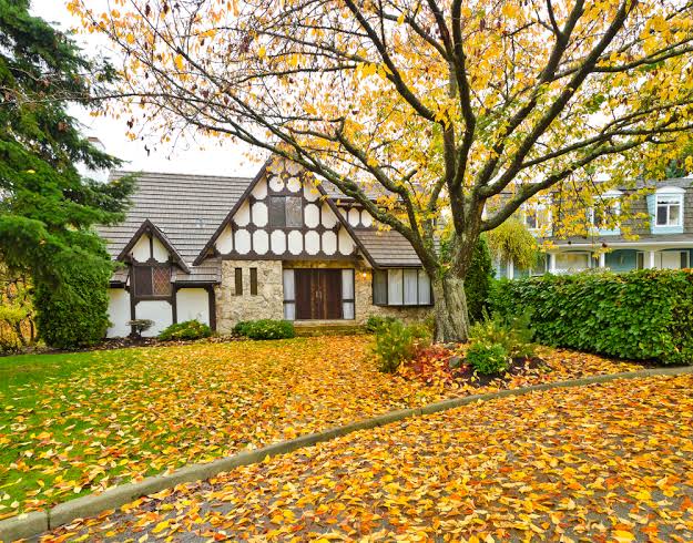 Fall yard and leaf cleanup service