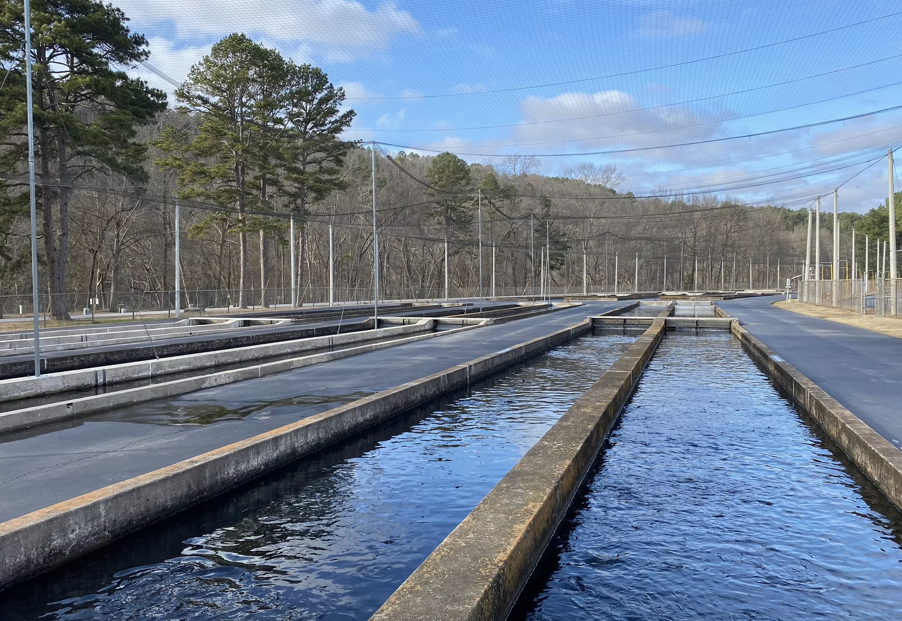 Greers Ferry National Fish Hatchery — Heber Springs, AR