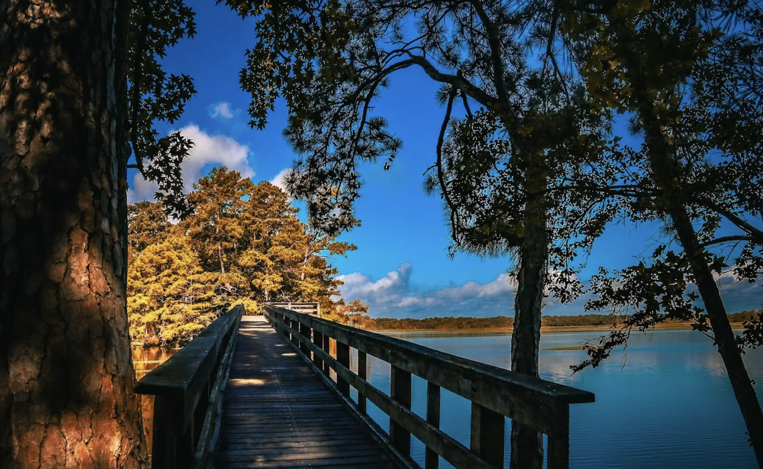 Big Thicket National Preserve near Kountze RV Park
