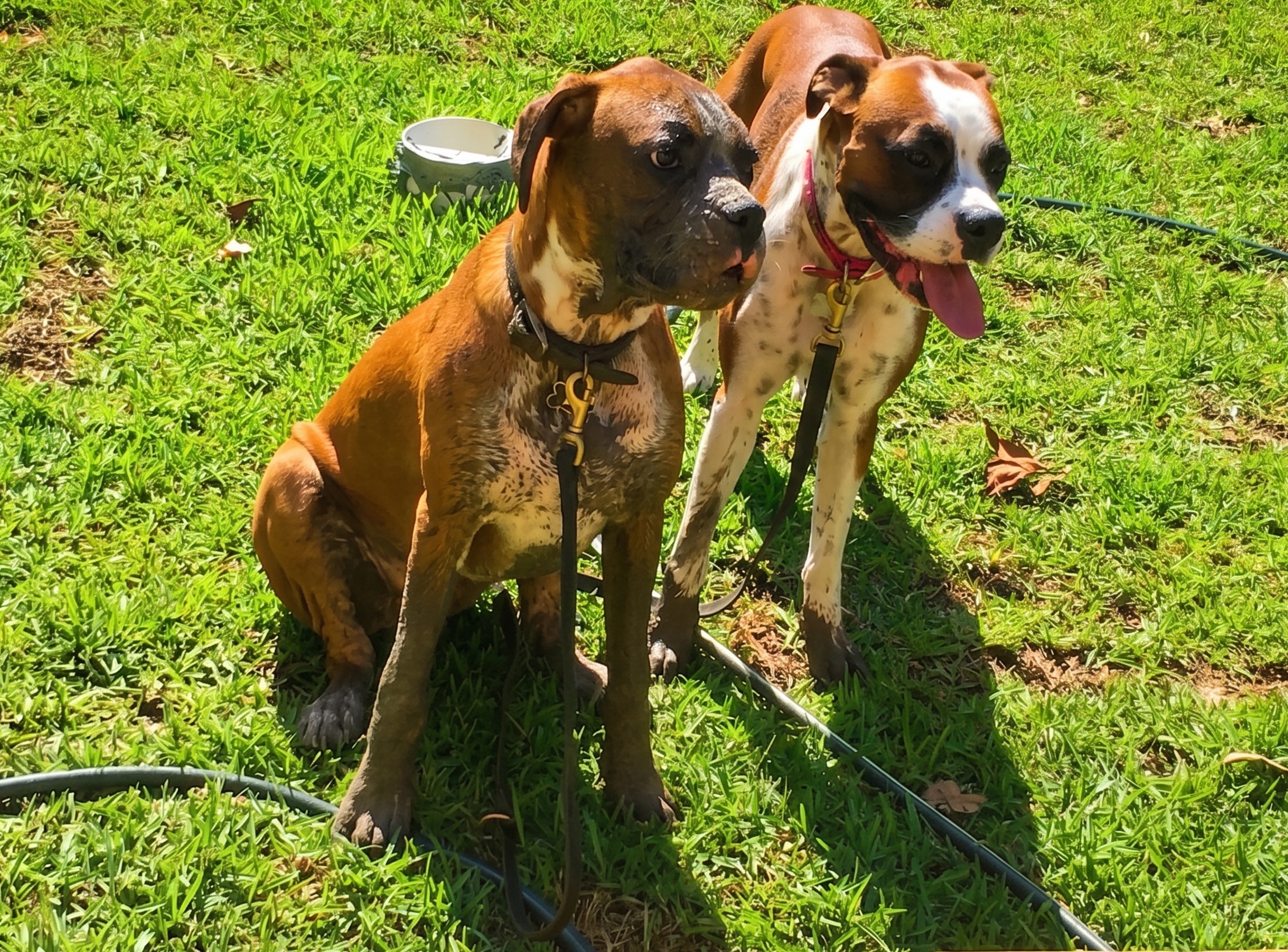 Growing Up Together
