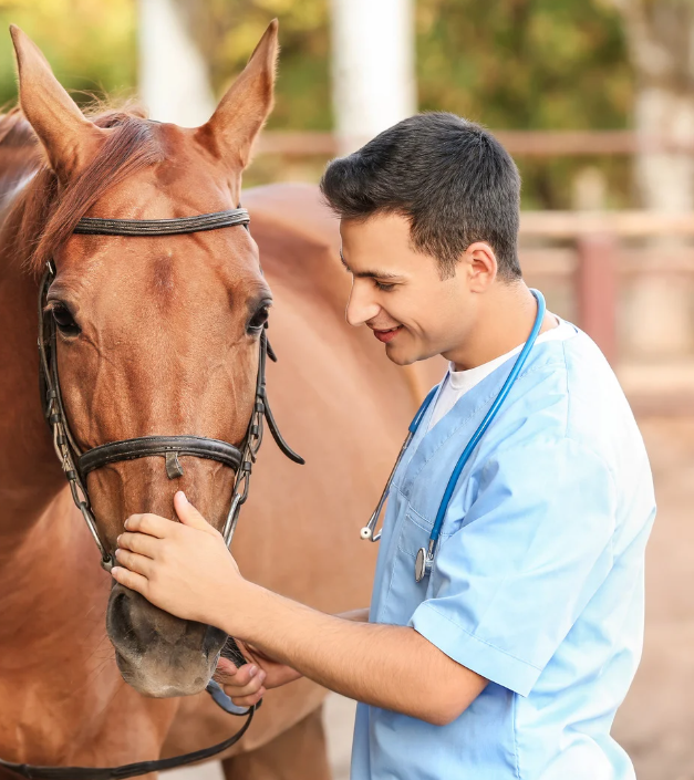 Veterinarians