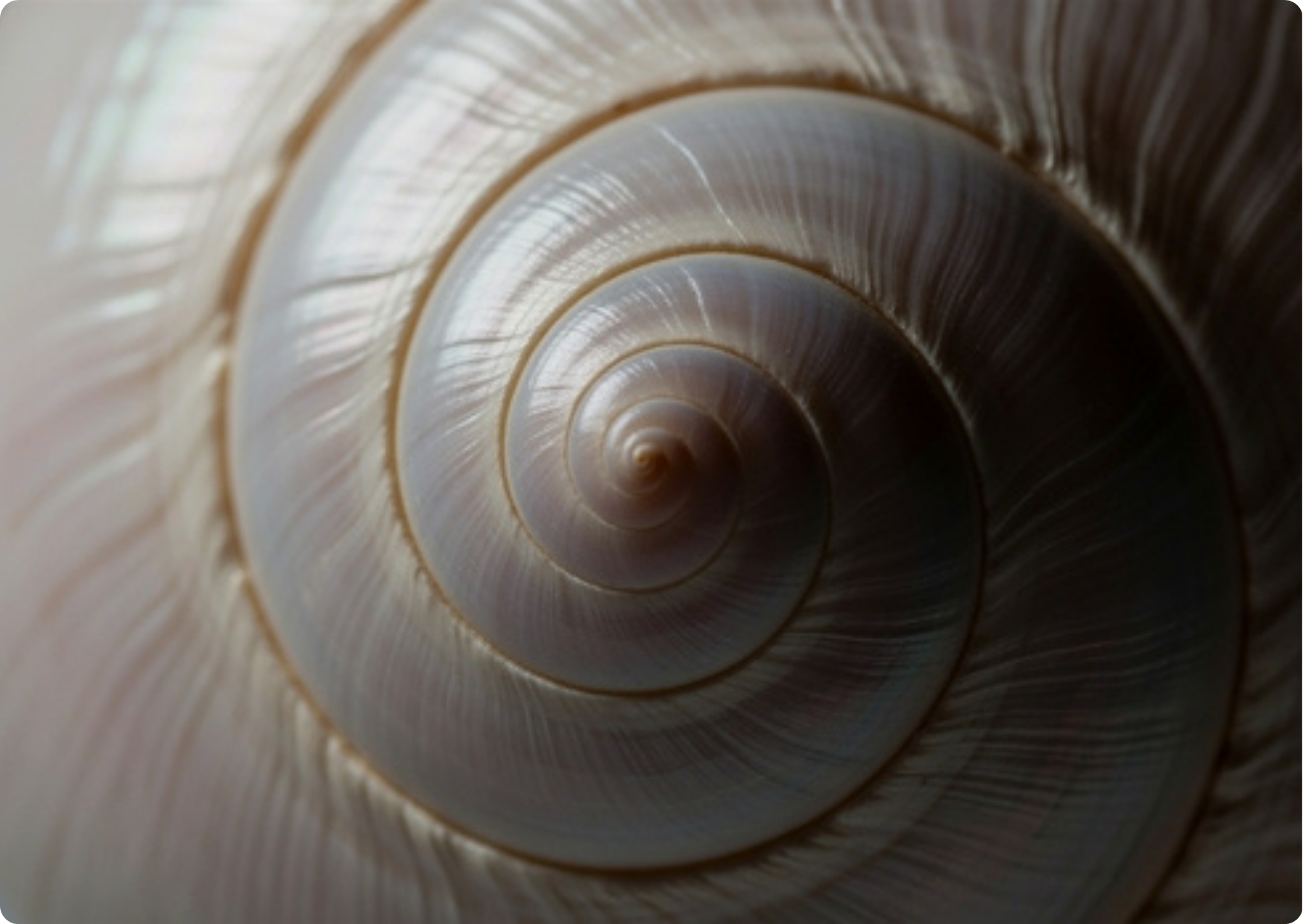 Blog Aude Compose - Abstraites lignes spirales nombre d'or