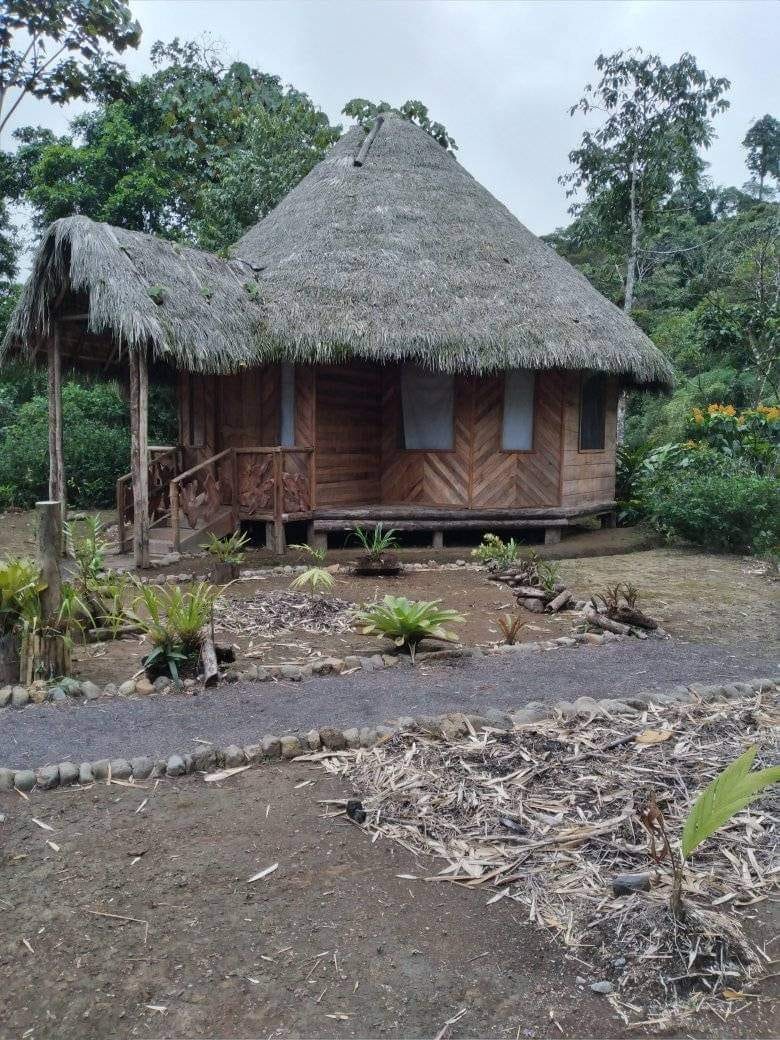 A thatched community cabin