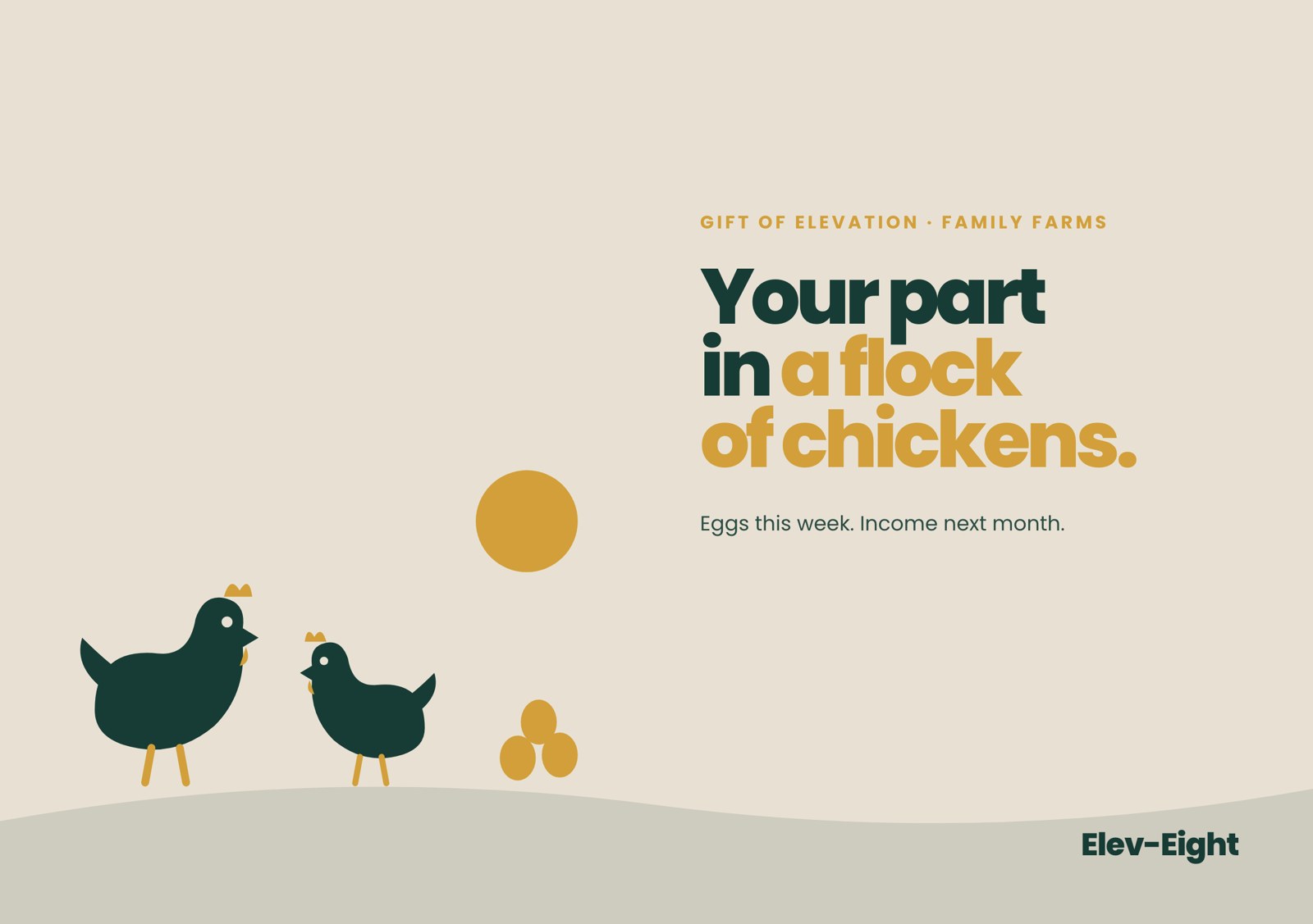 A flock of chickens.