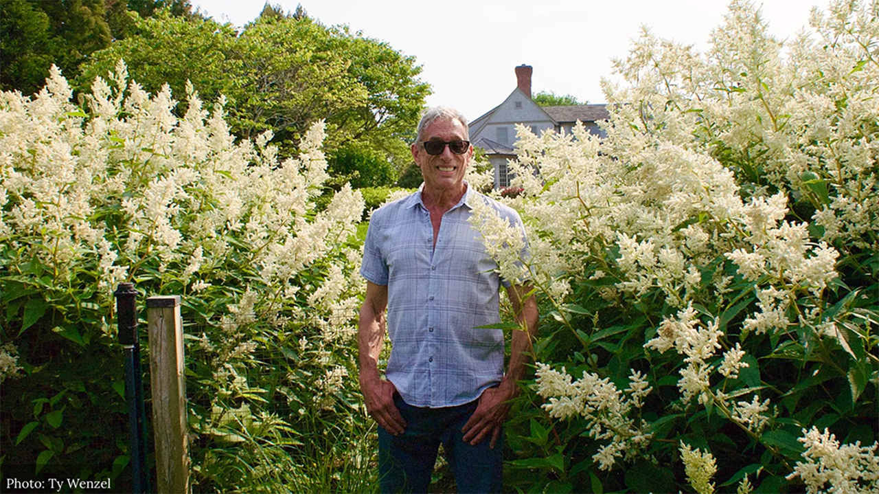 Geoffrey Nimmer landscape design