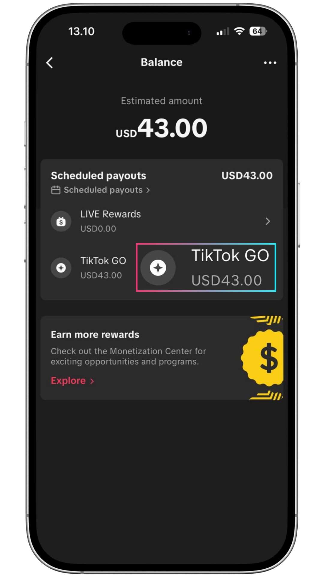 TikTok GO Earnings Screenshot