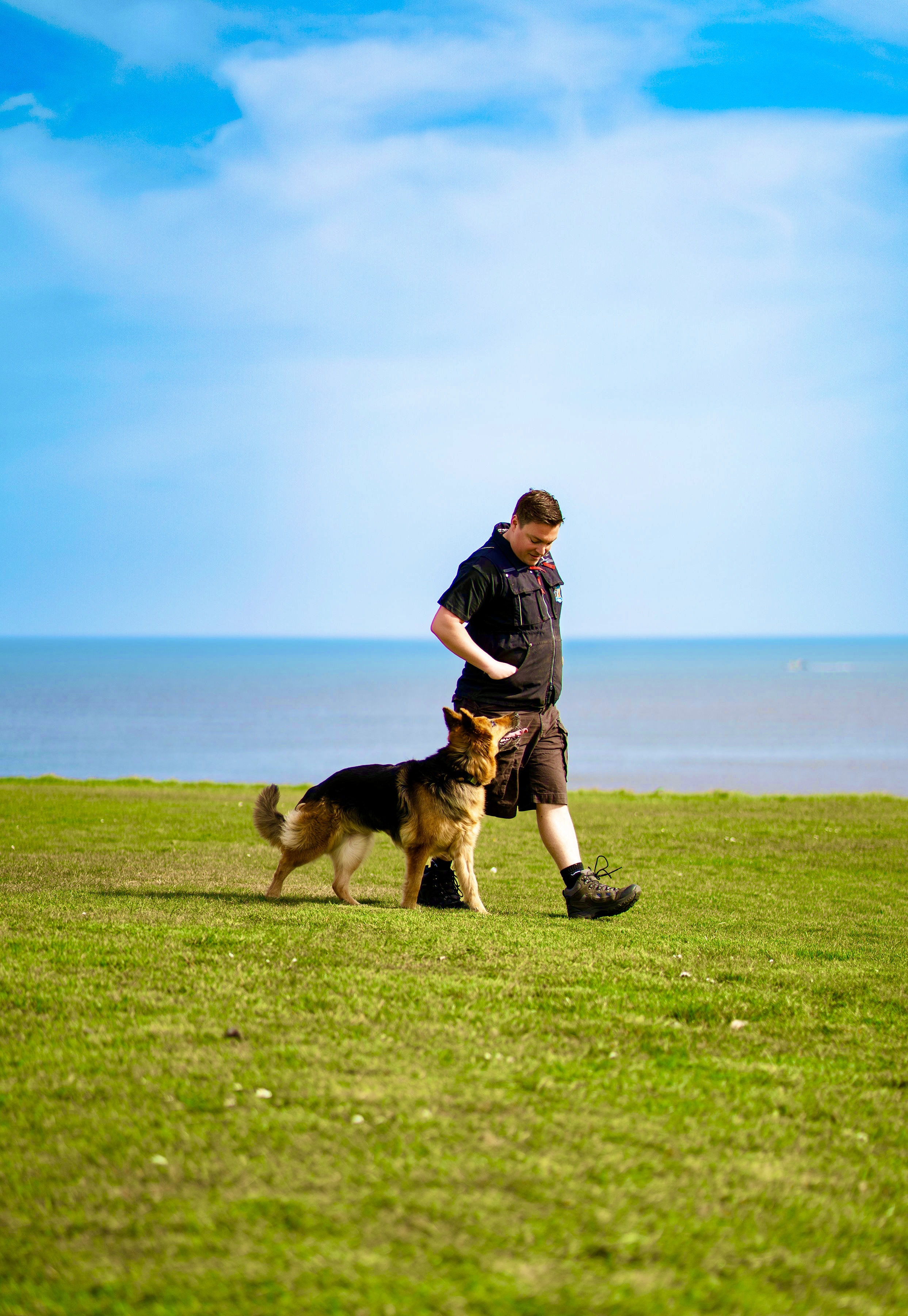 One to One Adult Dog Training