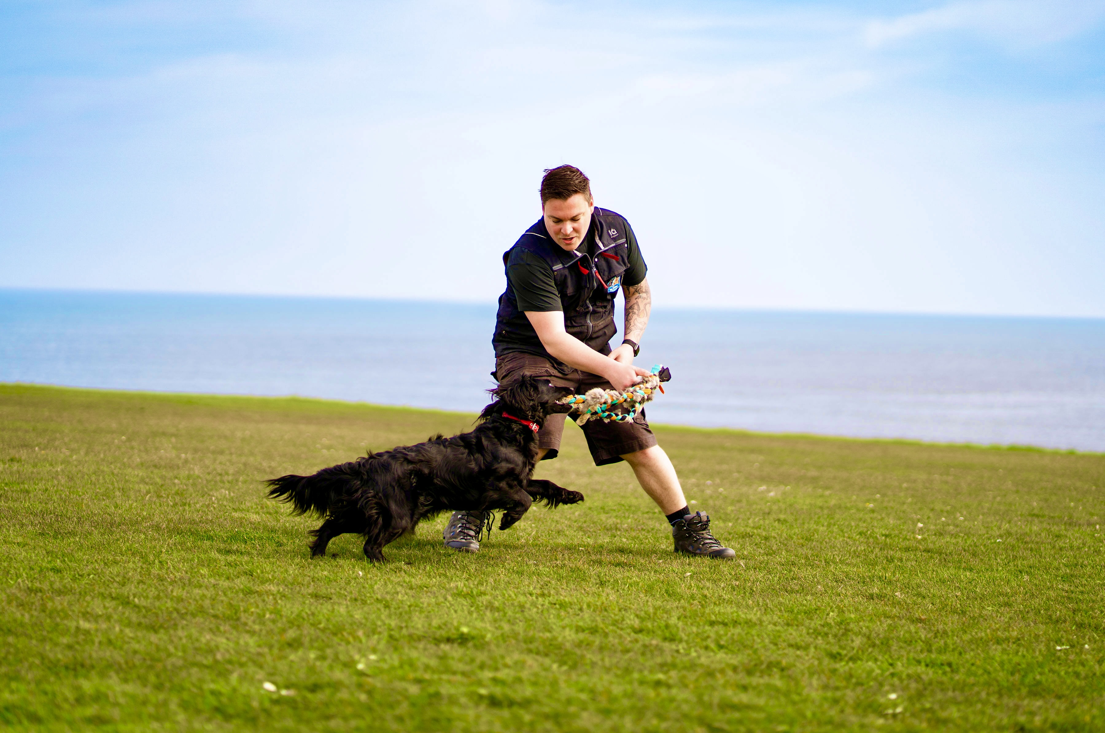 One to One Puppy Training
