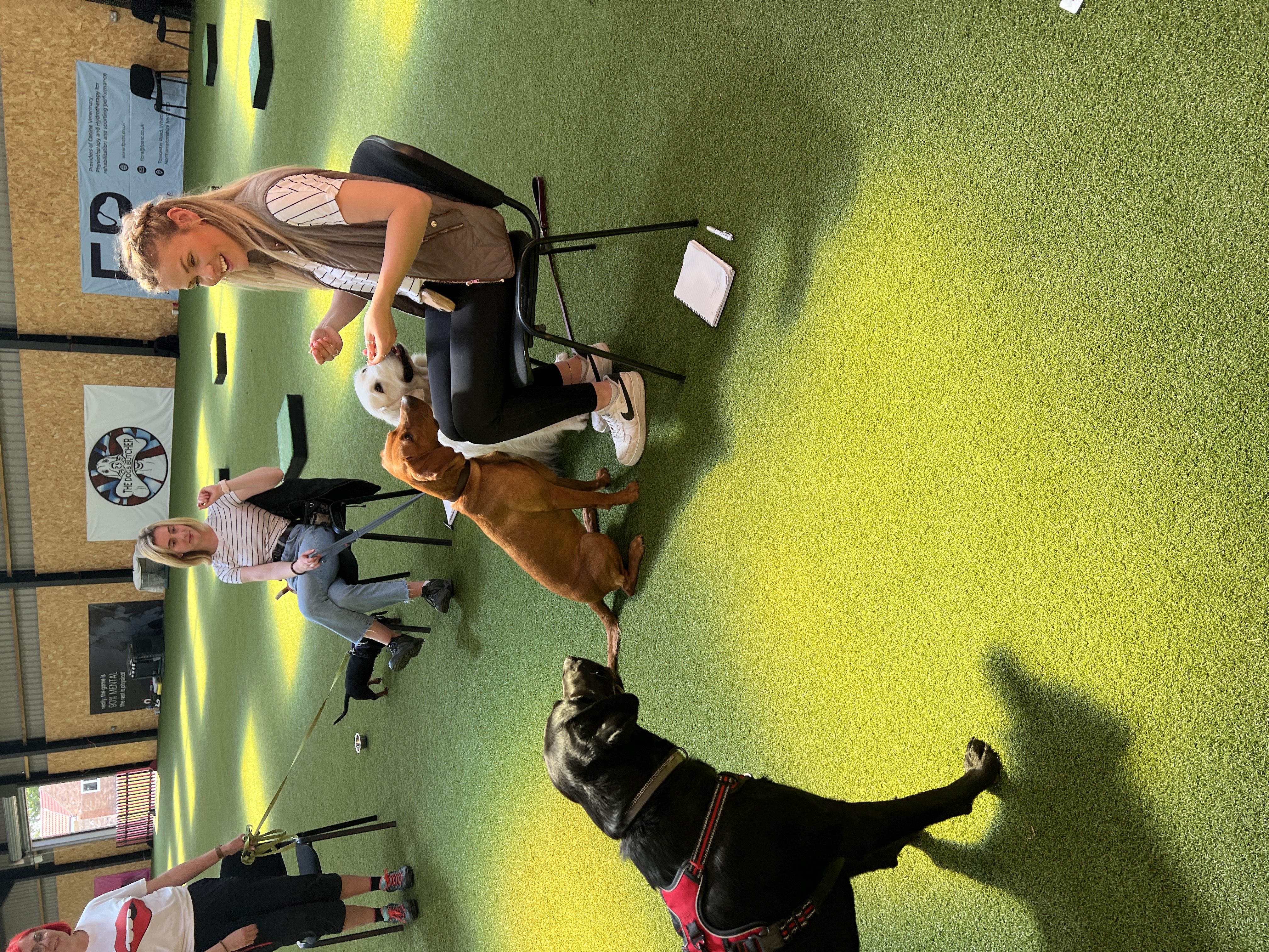 Puppy Training Class South Shields
