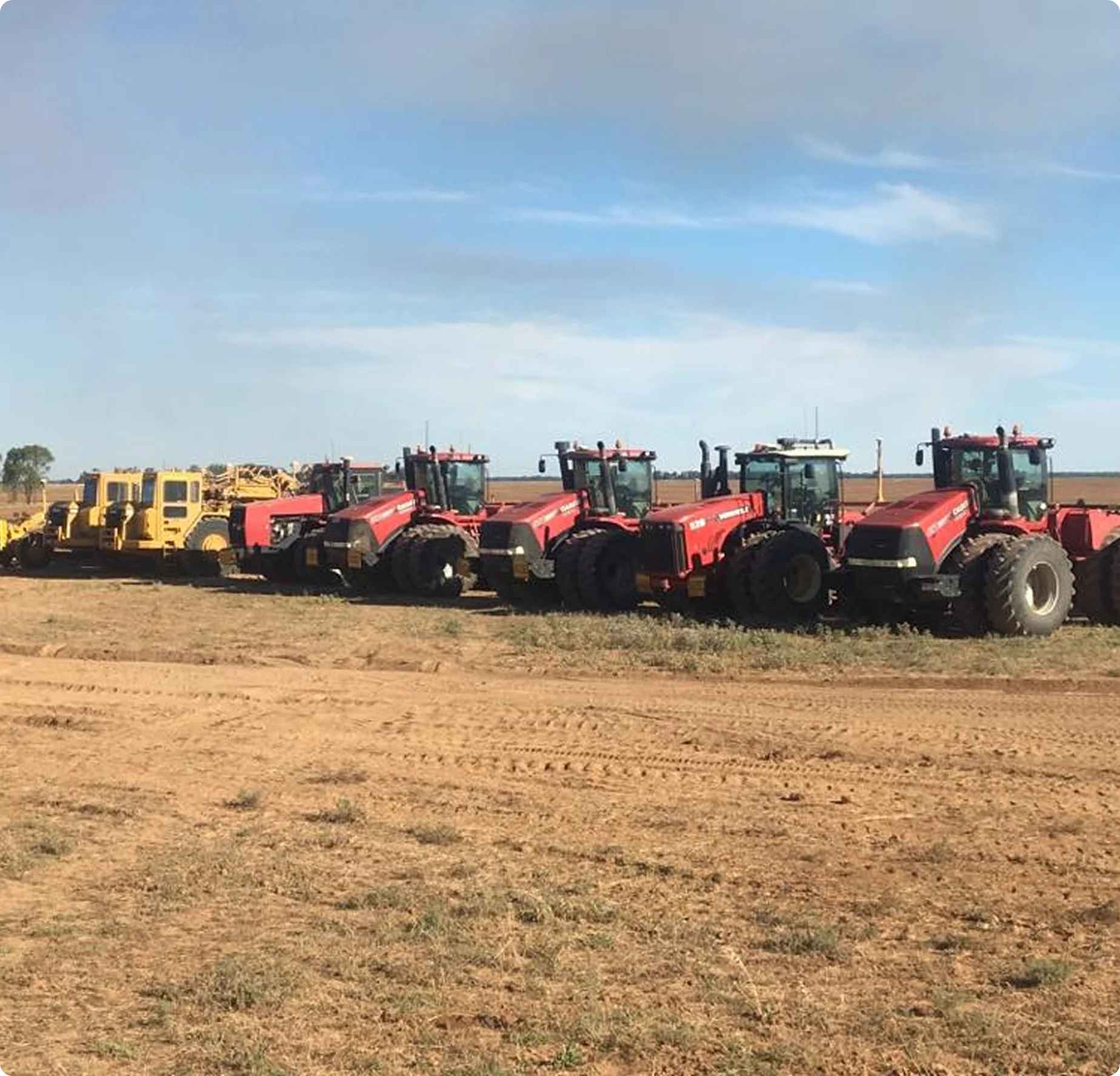 Southern Cross Farms - Copy