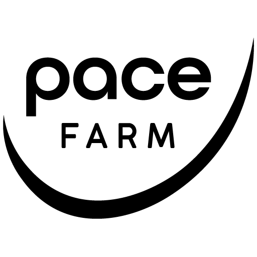 John Payne business logo