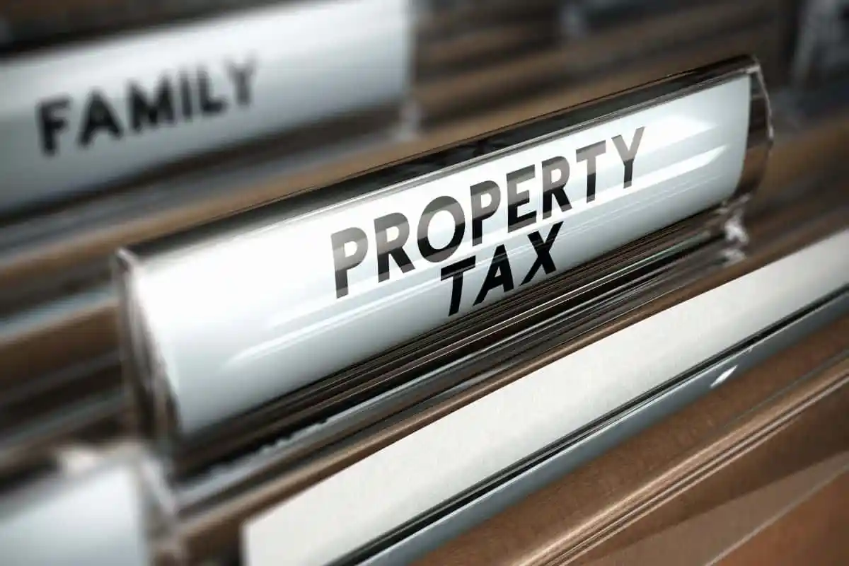 Taxes