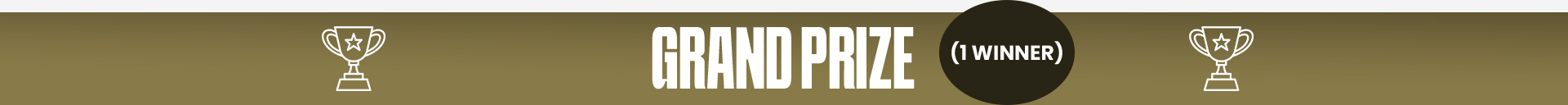 Grand Prize | 1 Winner