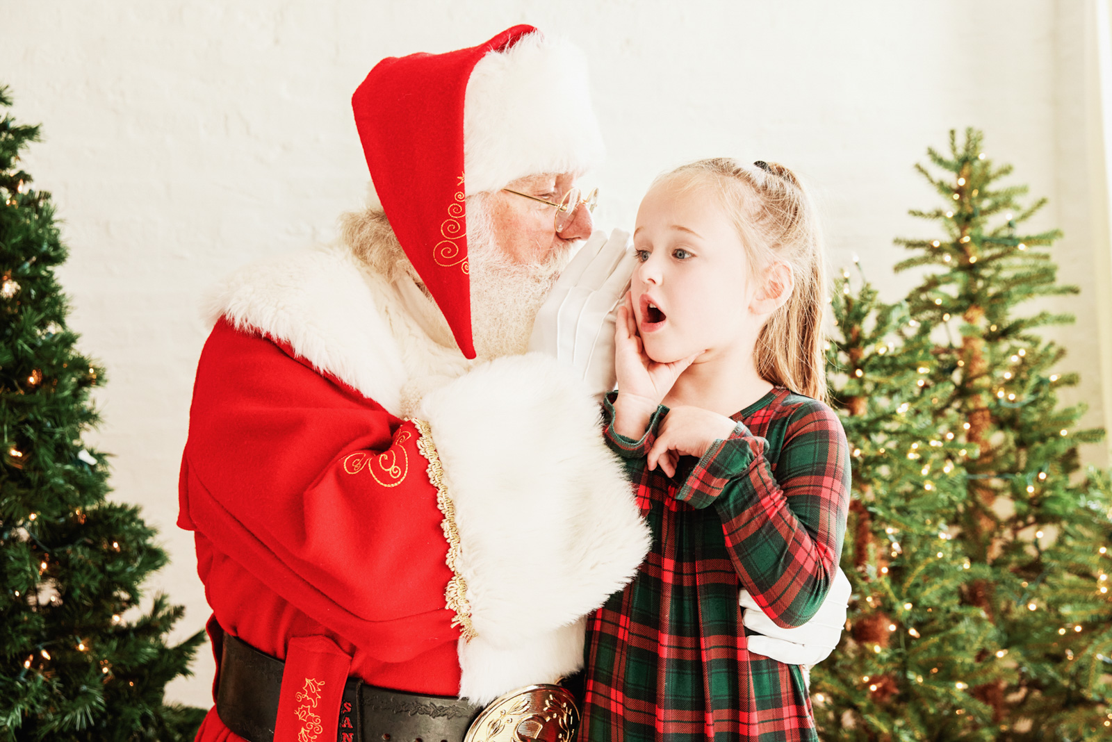 Family Christmas portrait by Ten Little Bluebirds