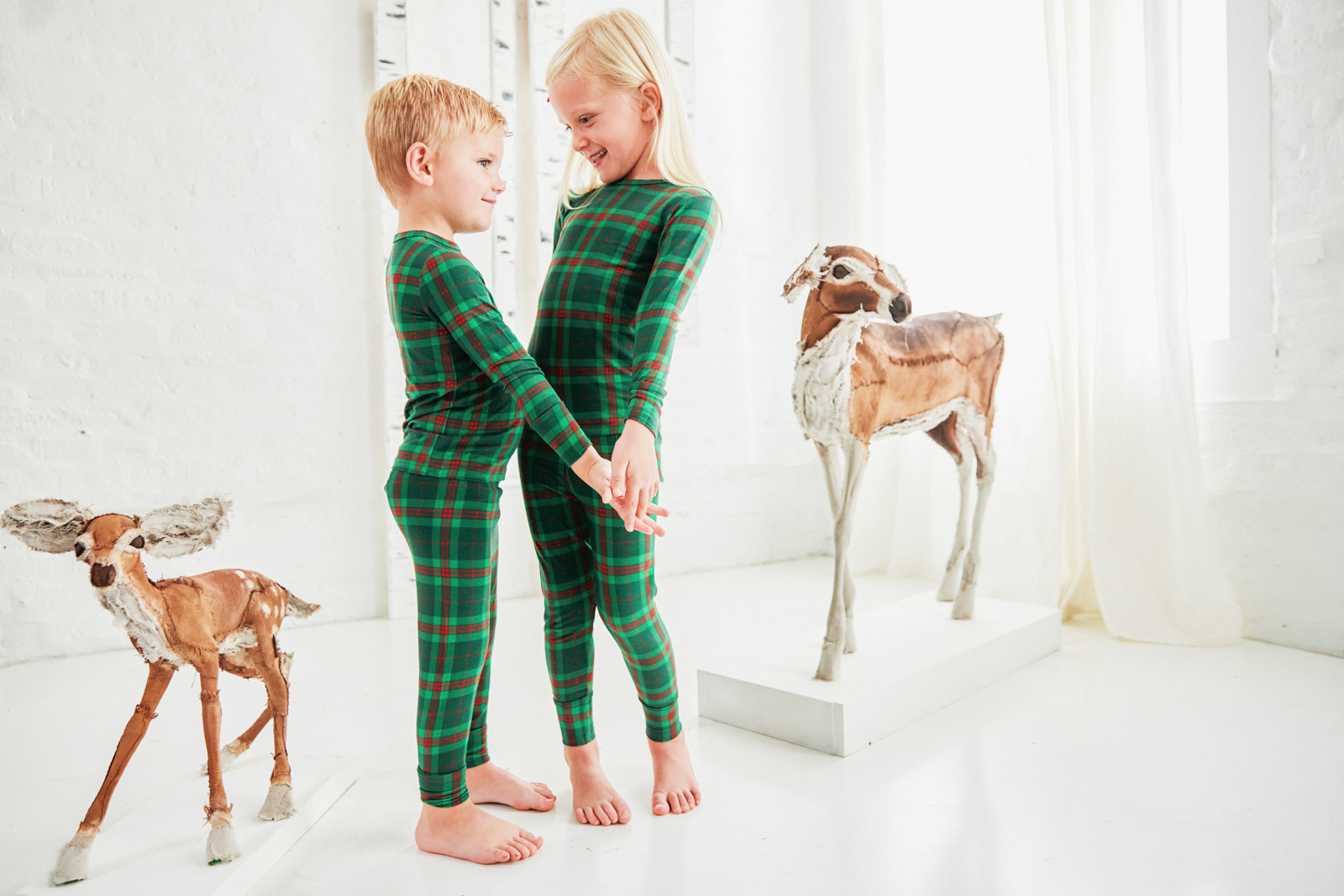 Family Christmas portrait by Ten Little Bluebirds