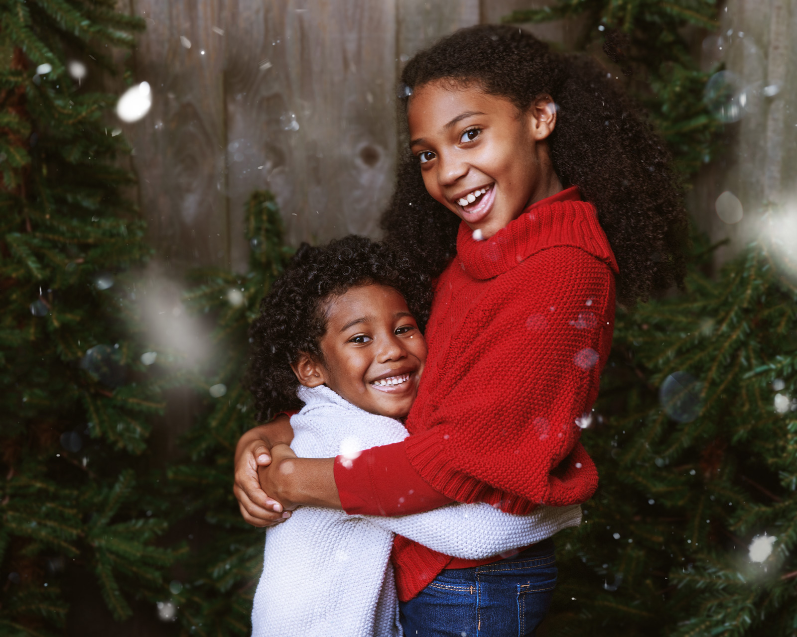 Family Christmas portrait by Ten Little Bluebirds