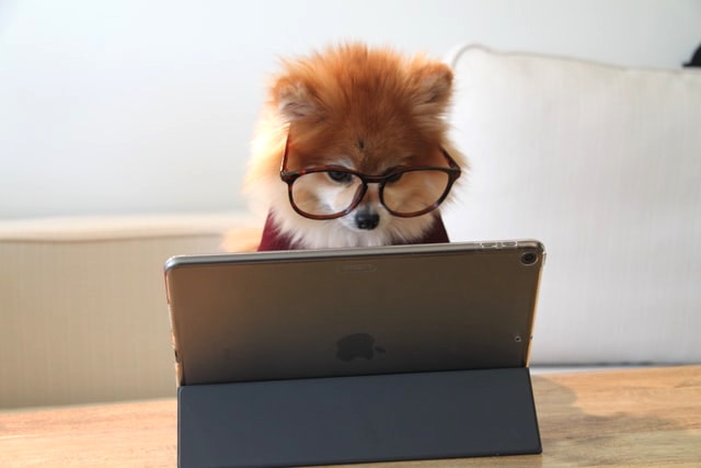 The Secrets to Creating Great Courses and Valuable Course Content The Secrets to Creating Great Courses and Valuable Course Content