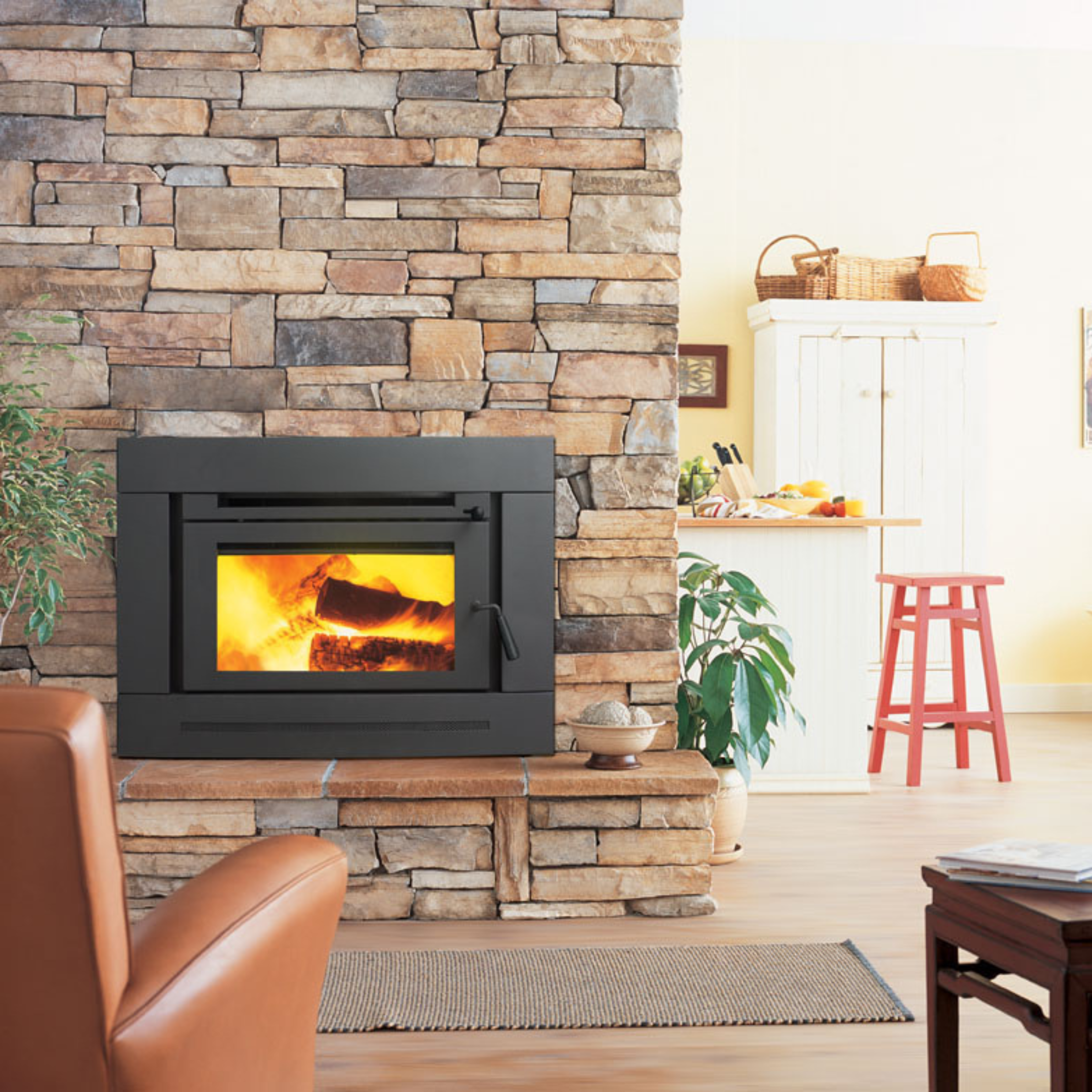 Regency - Greenfire Gas Fireplaces