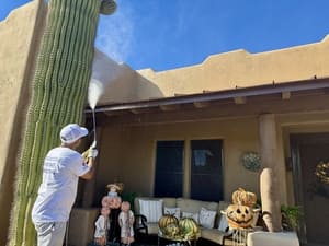 Interior Home Painting in Scottsdale