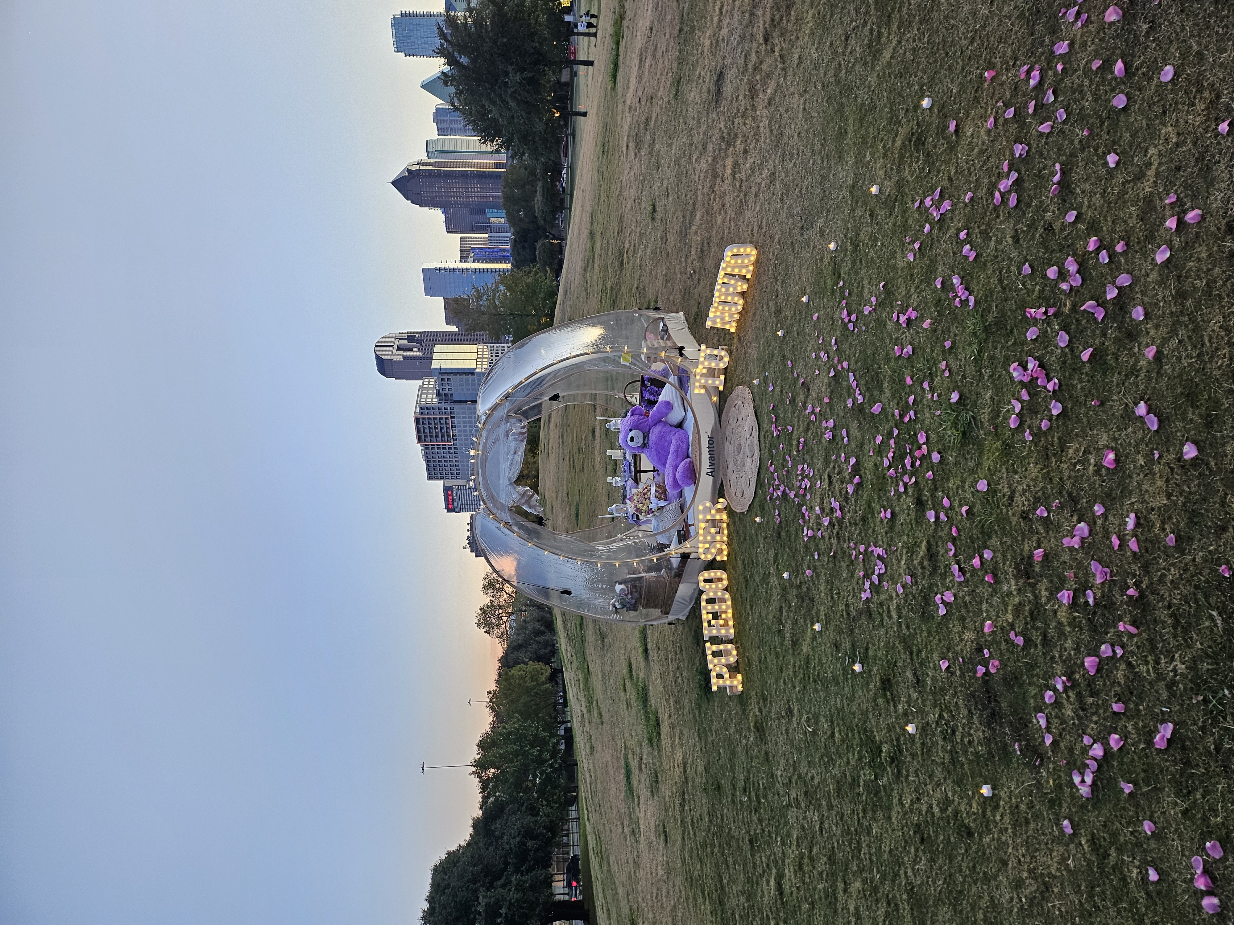 Proposal bubble picnic with MARRY ME letters and rose petals
