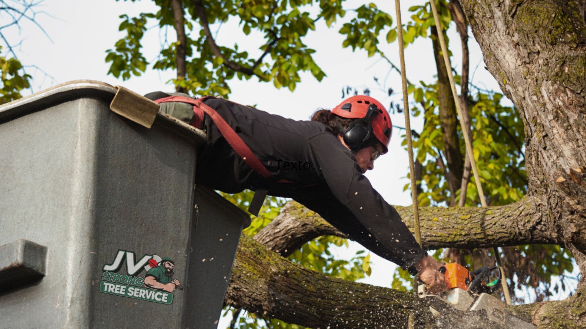 Full Tree Removal in Camden County