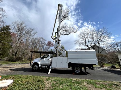 Property Cleanups 