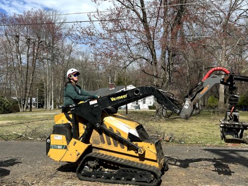 Tree Trimming Camden County