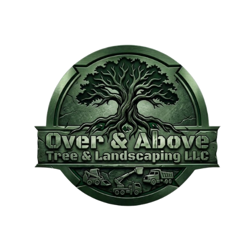 Tree & Landscaping Services in Amarillo, TX