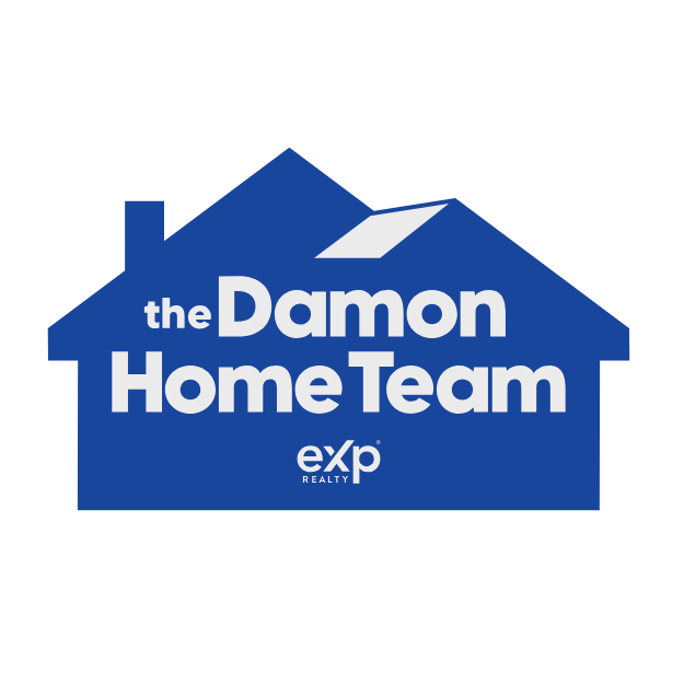 The Damon Home Team