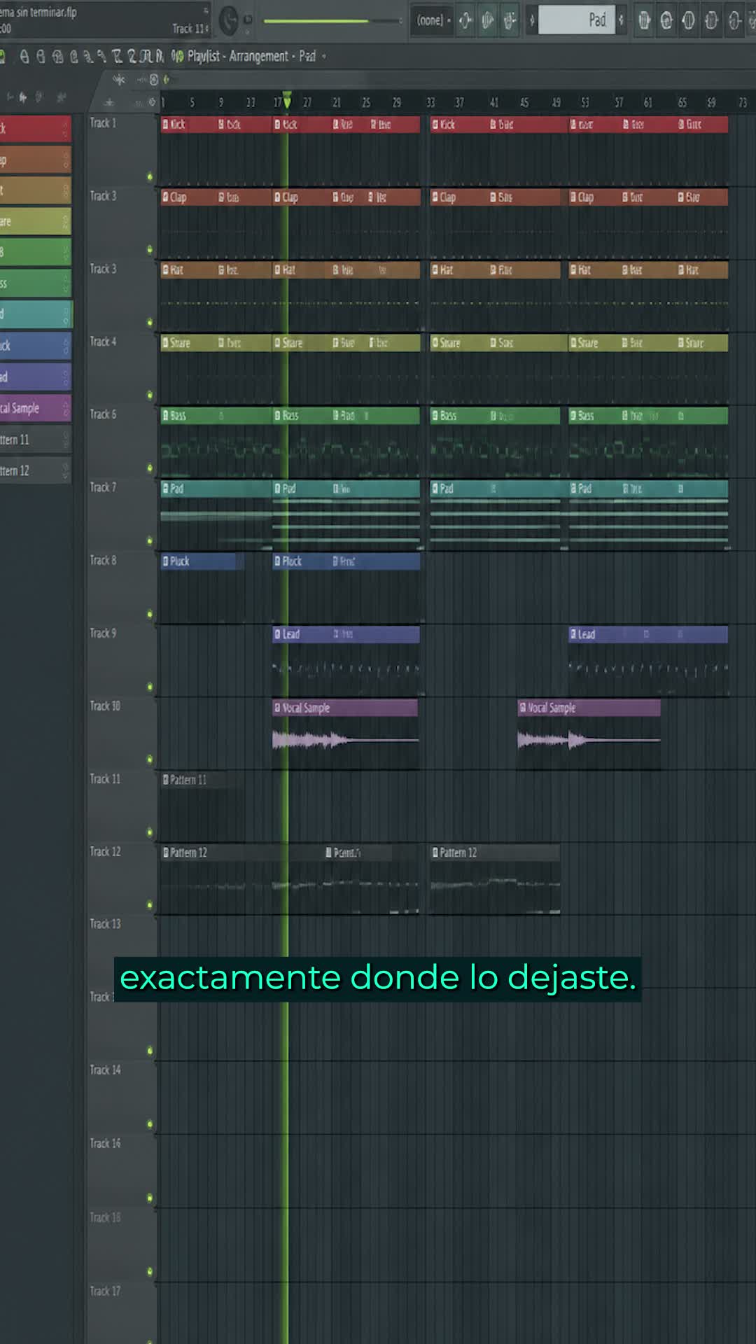 Estructura de un track organizada en el DAW