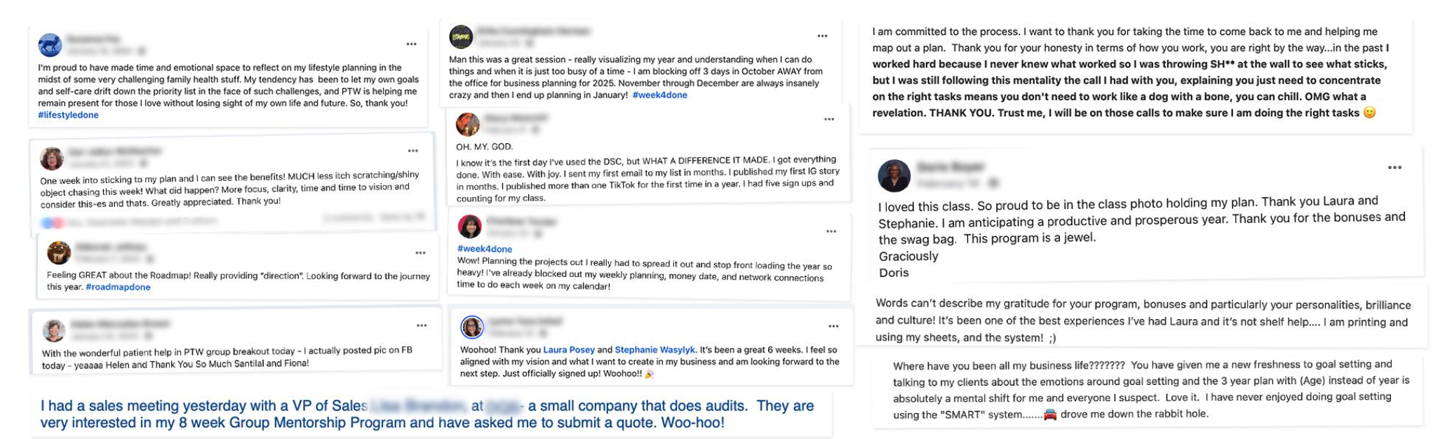 A wall of unedited testimonials from past Plan to Win students