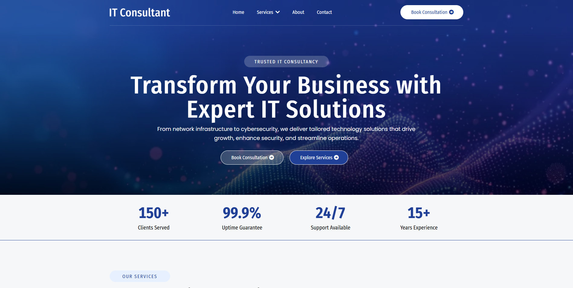 IT Consultant