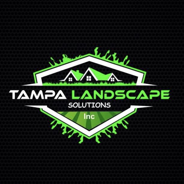 Tampa landscape solutions - Landscaping in Tampa