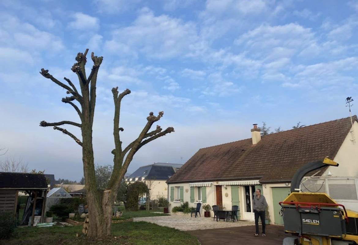 Arbre élagué devant une maison, camion de l'élagueur, Allier